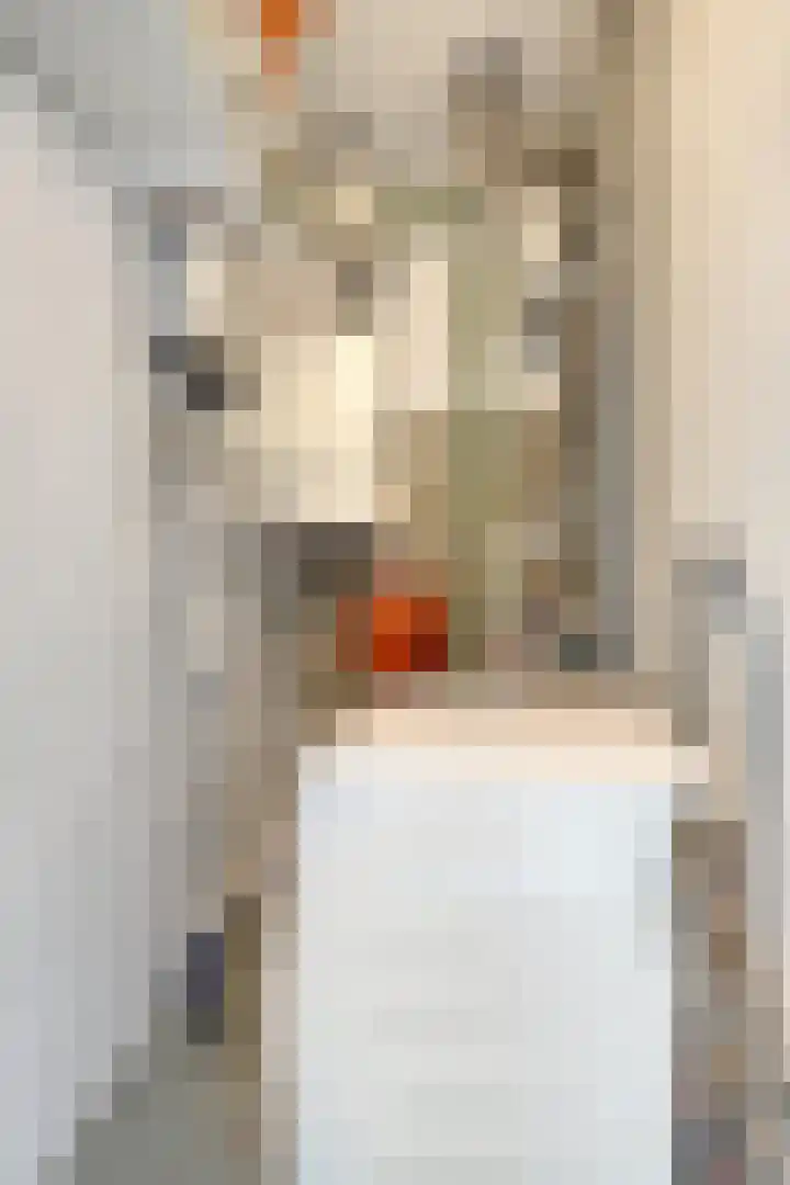 Adelaartlaan 156 Geldrop thumbnail 21