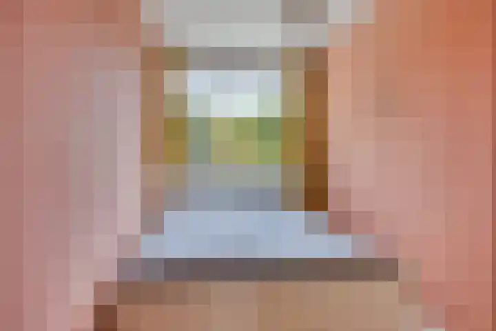 Adelaartlaan 156 Geldrop thumbnail 28