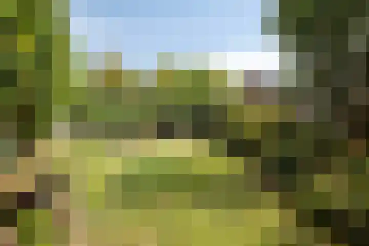 Adelaartlaan 156 Geldrop thumbnail 30