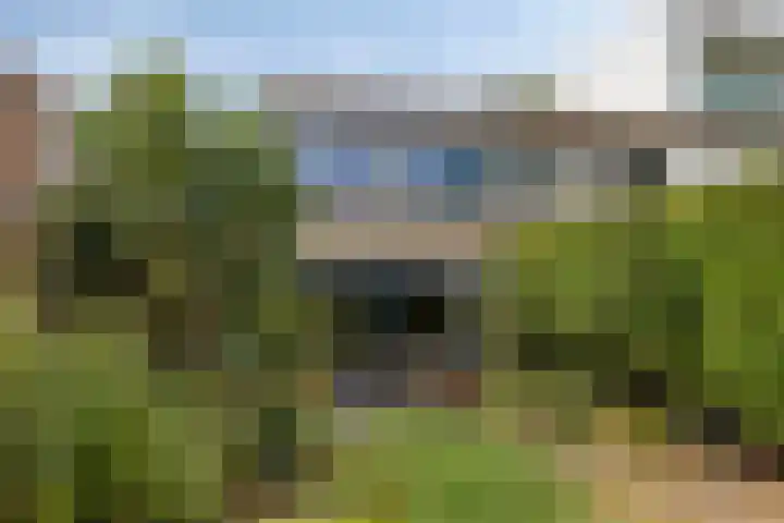 Adelaartlaan 156 Geldrop thumbnail 31