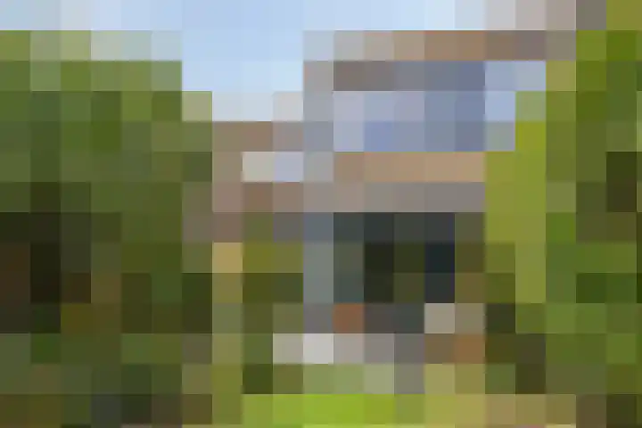 Adelaartlaan 156 Geldrop thumbnail 32