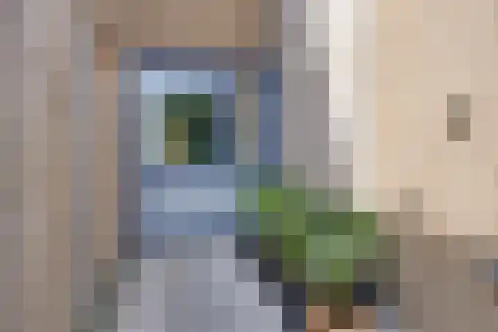 Adelaartlaan 156 Geldrop thumbnail 33