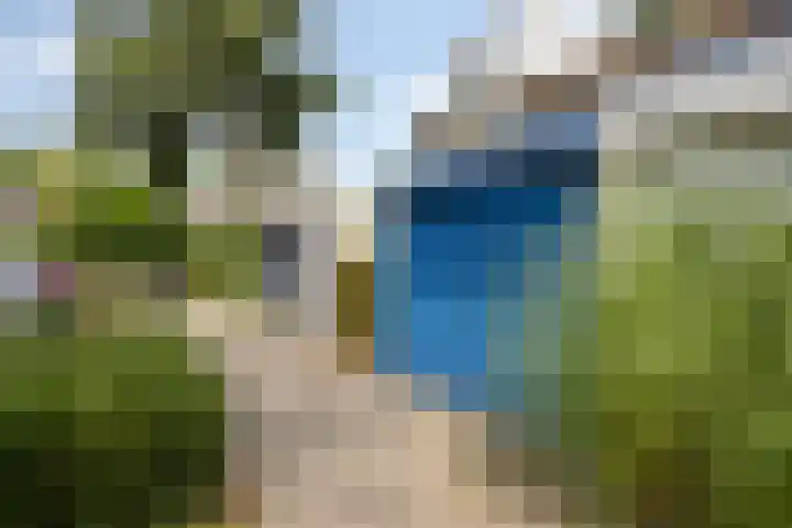 Adelaartlaan 156 Geldrop thumbnail 35
