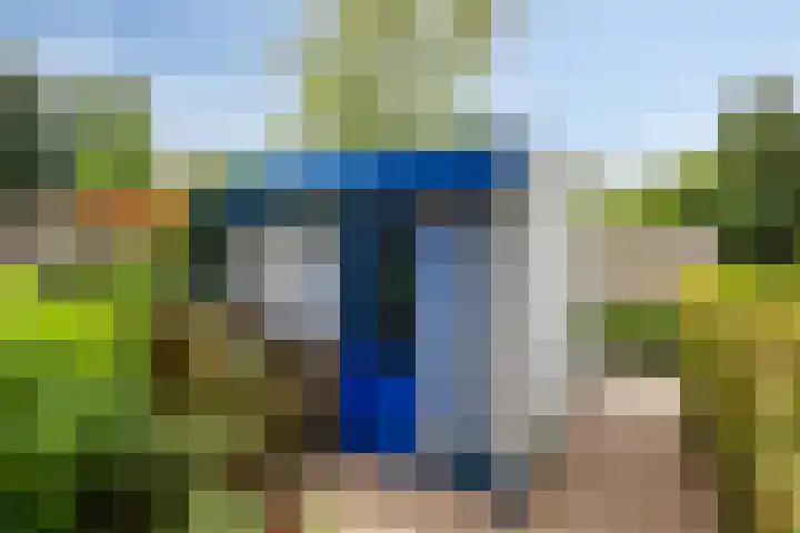 Adelaartlaan 156 Geldrop thumbnail 36
