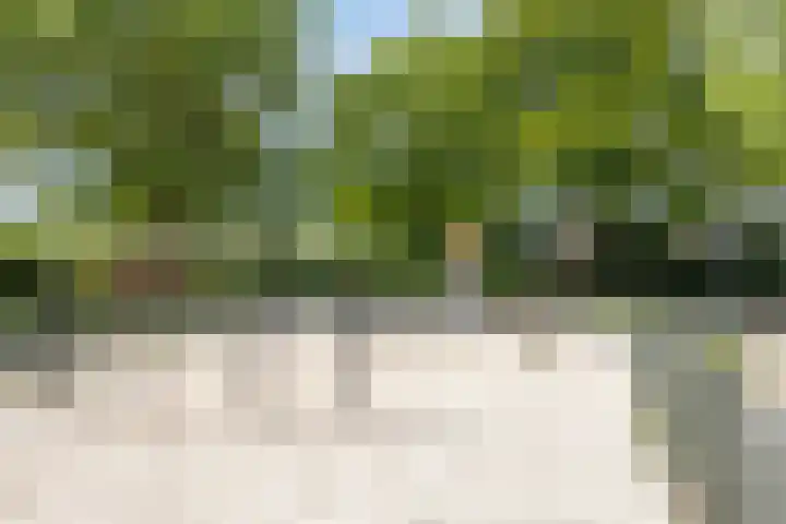 Adelaartlaan 156 Geldrop thumbnail 38