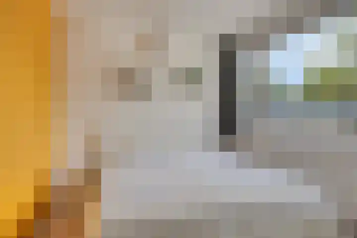 Adelaartlaan 156 Geldrop thumbnail 4