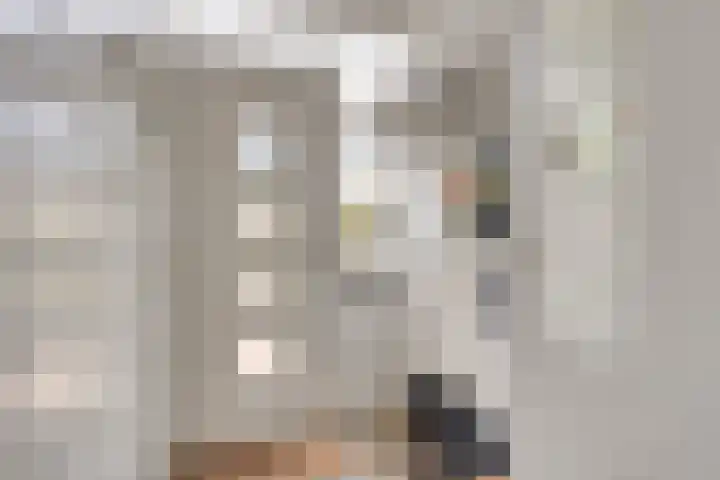 Adelaartlaan 156 Geldrop thumbnail 7