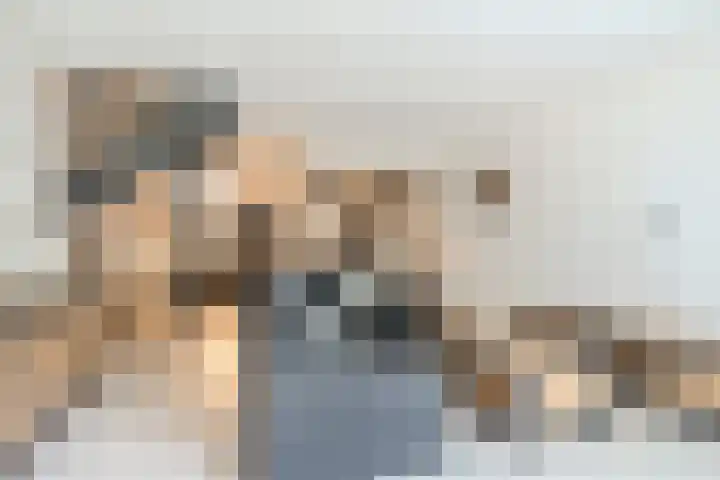 Adelaartlaan 16 Geldrop thumbnail 11