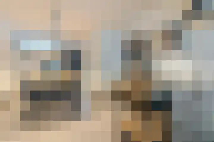 Adelaartlaan 16 Geldrop thumbnail 12