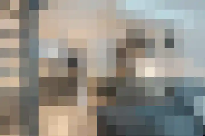 Adelaartlaan 16 Geldrop thumbnail 13