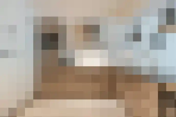 Adelaartlaan 16 Geldrop thumbnail 15