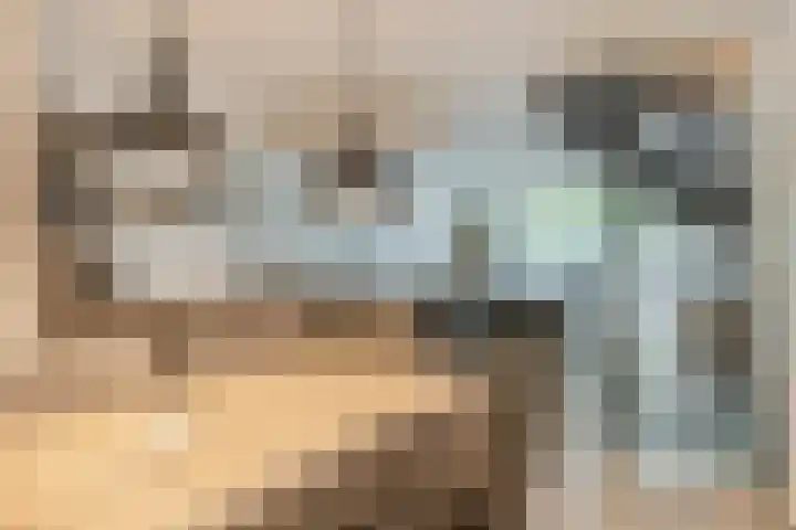 Adelaartlaan 16 Geldrop thumbnail 19