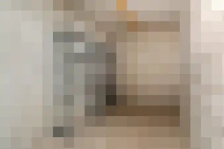 Adelaartlaan 16 Geldrop thumbnail 28