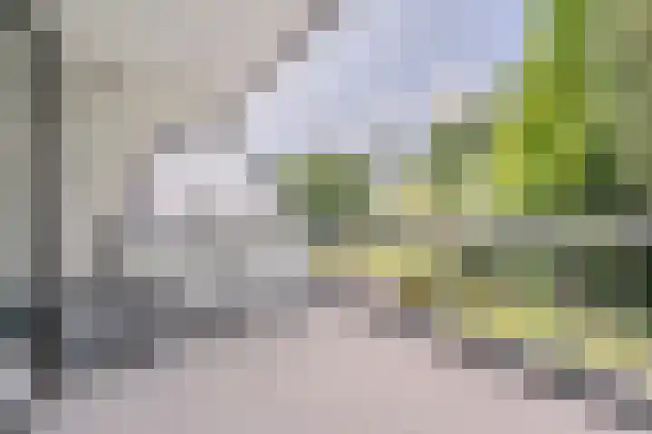 Adelaartlaan 16 Geldrop thumbnail 29