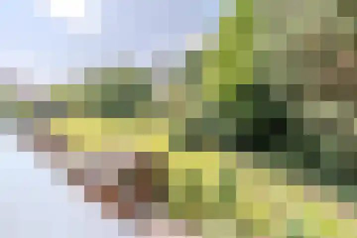 Adelaartlaan 16 Geldrop thumbnail 30