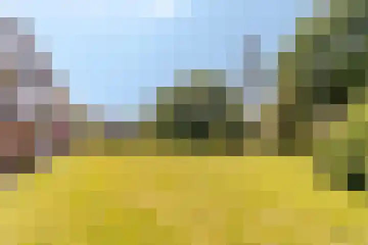 Adelaartlaan 16 Geldrop thumbnail 31