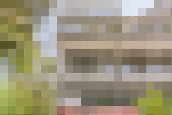 Adelaartlaan 16 Geldrop thumbnail 32