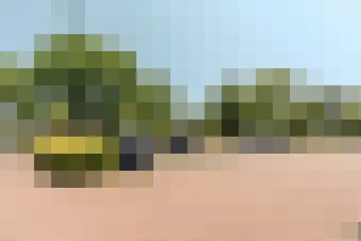 Adelaartlaan 16 Geldrop thumbnail 35