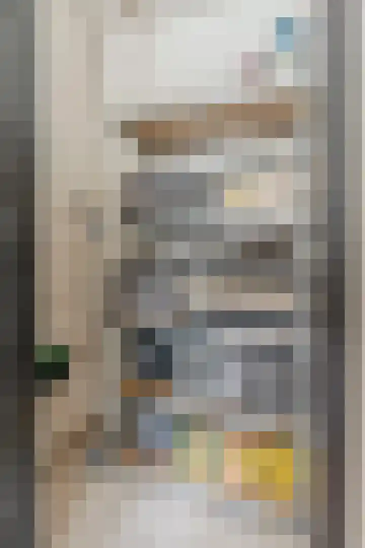 Adelaartlaan 16 Geldrop thumbnail 7