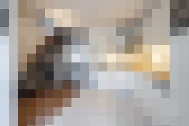 Adelaartlaan 186 Geldrop thumbnail 11