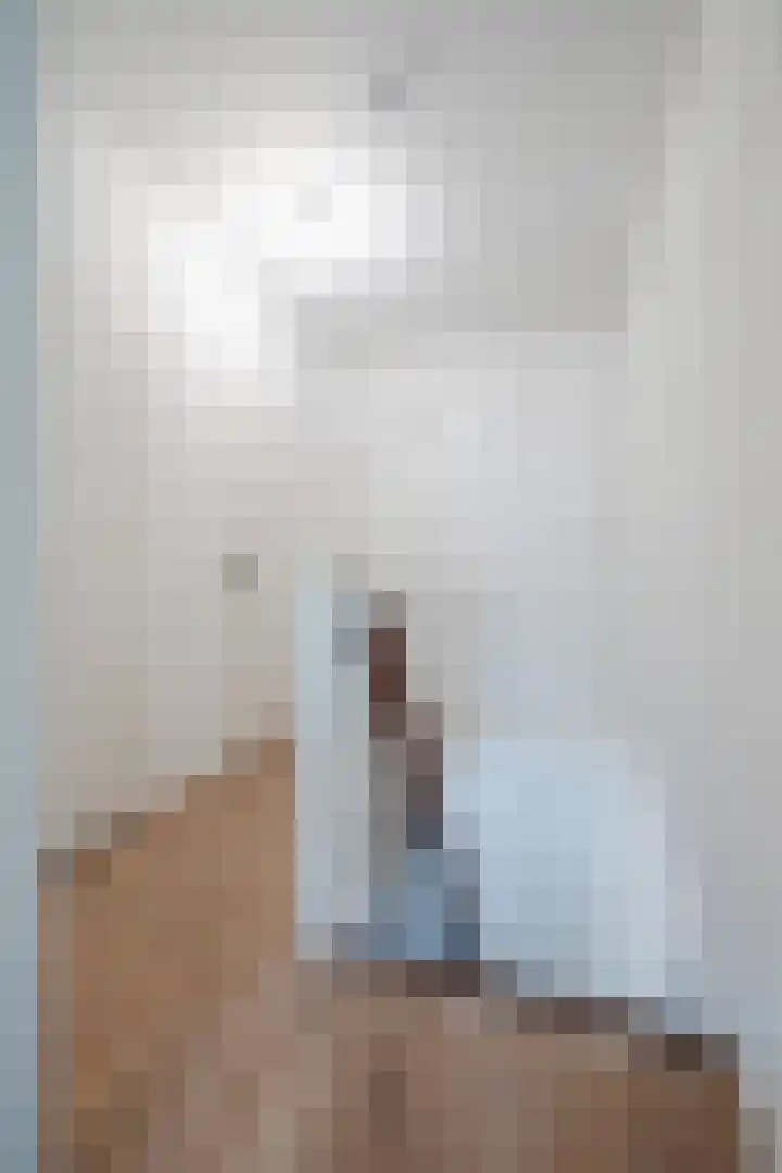 Adelaartlaan 186 Geldrop thumbnail 15