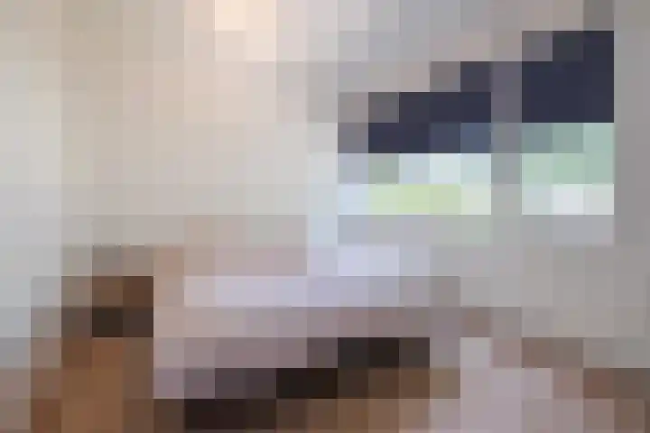 Adelaartlaan 186 Geldrop thumbnail 16