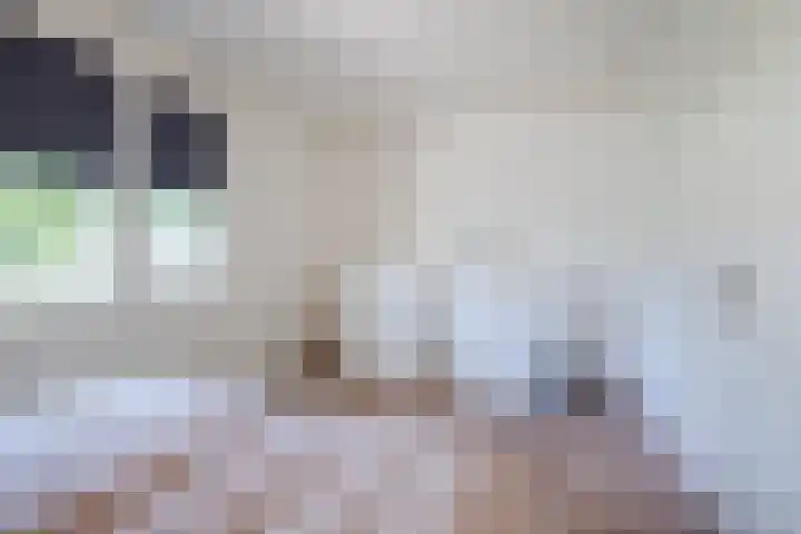 Adelaartlaan 186 Geldrop thumbnail 17