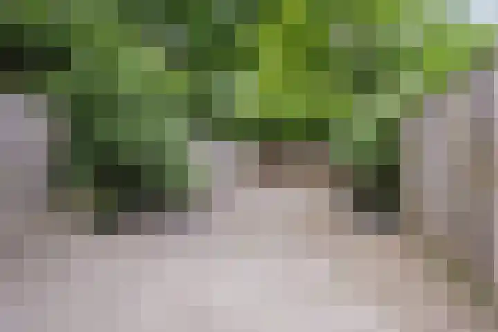 Adelaartlaan 186 Geldrop thumbnail 27