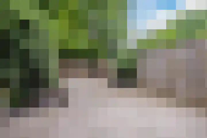 Adelaartlaan 186 Geldrop thumbnail 28
