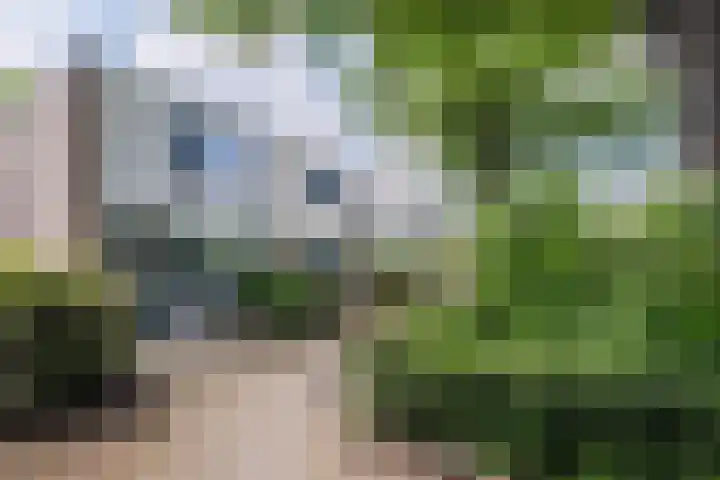 Adelaartlaan 186 Geldrop thumbnail 29