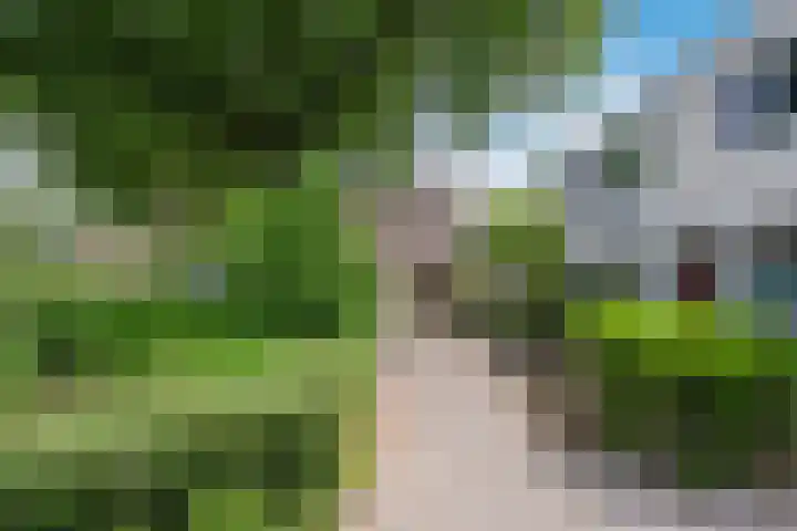 Adelaartlaan 186 Geldrop thumbnail 31