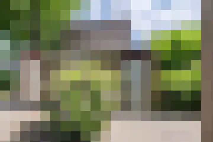 Adelaartlaan 186 Geldrop thumbnail 32