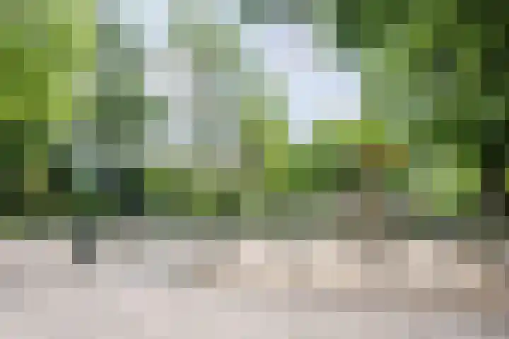 Adelaartlaan 186 Geldrop thumbnail 33