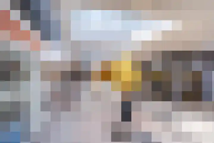 Adelaartlaan 186 Geldrop thumbnail 34