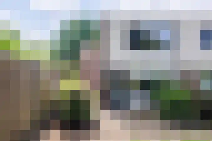 Adelaartlaan 186 Geldrop thumbnail 41