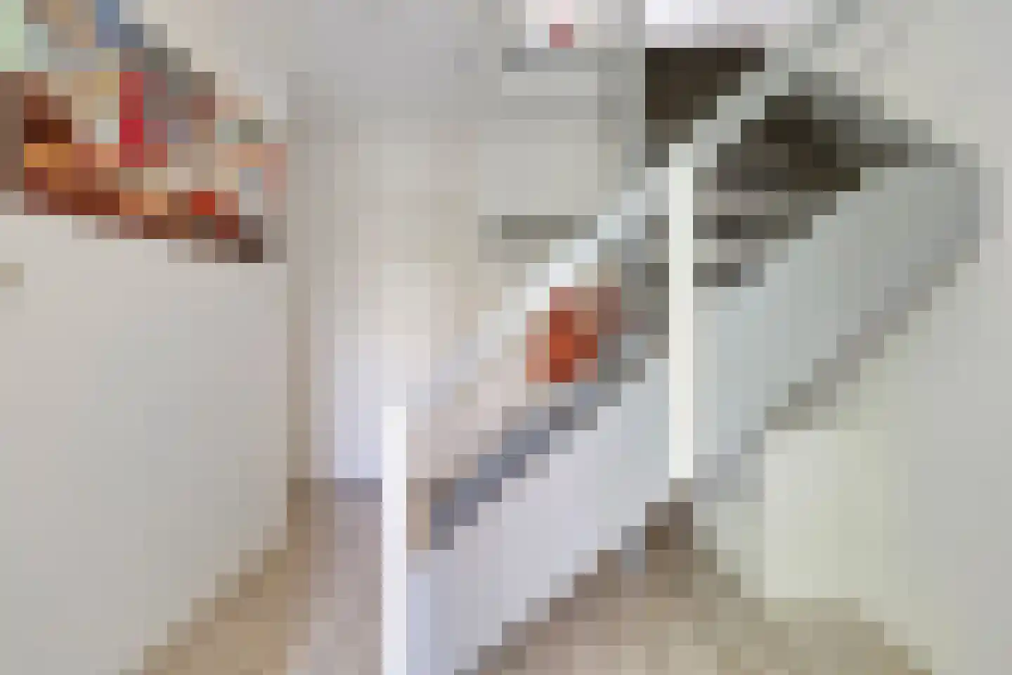 Adelaartlaan 48 Geldrop thumbnail 16