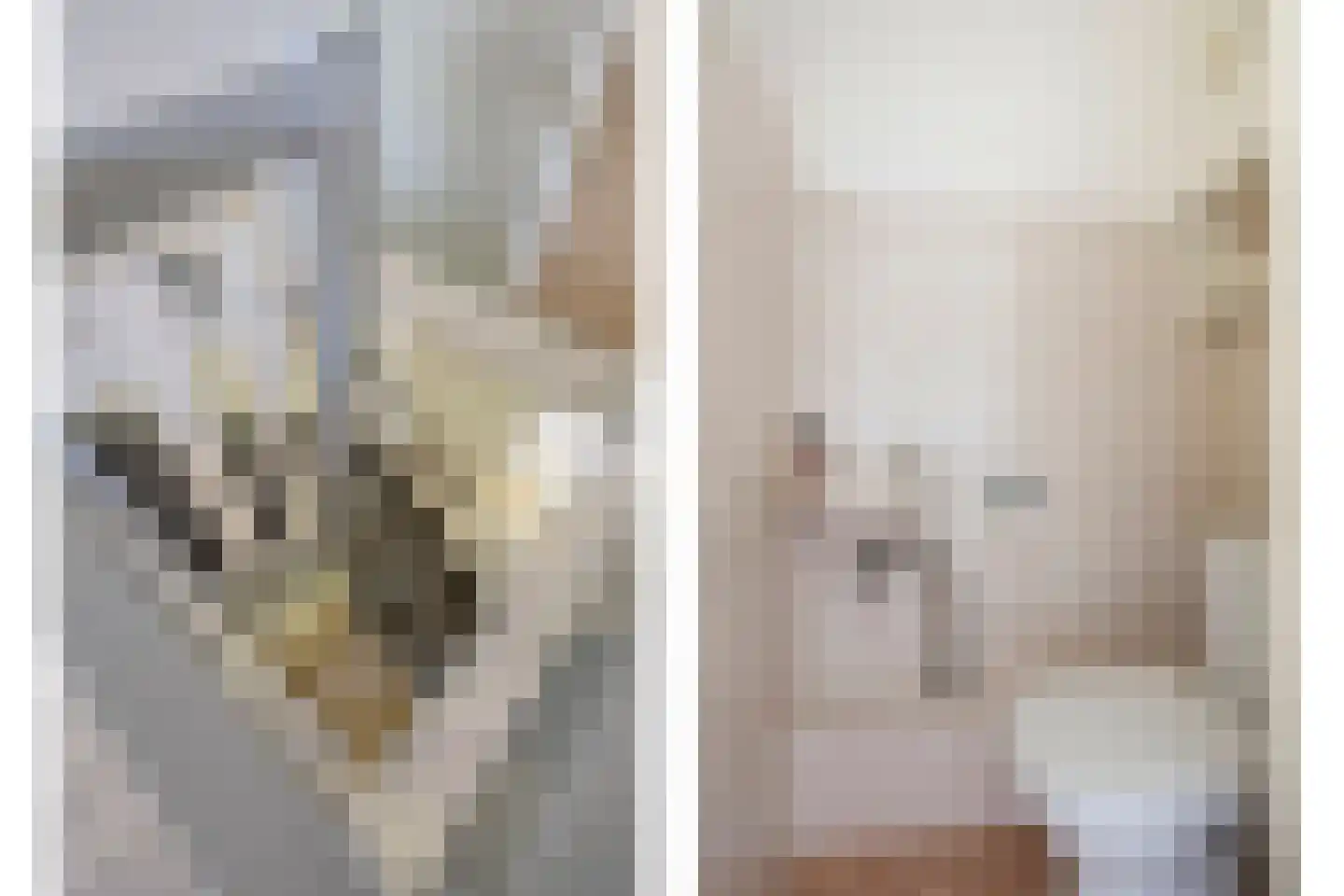Adelaartlaan 48 Geldrop thumbnail 22