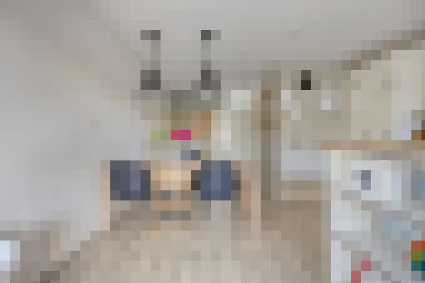 Adelaartlaan 48 Geldrop thumbnail 27