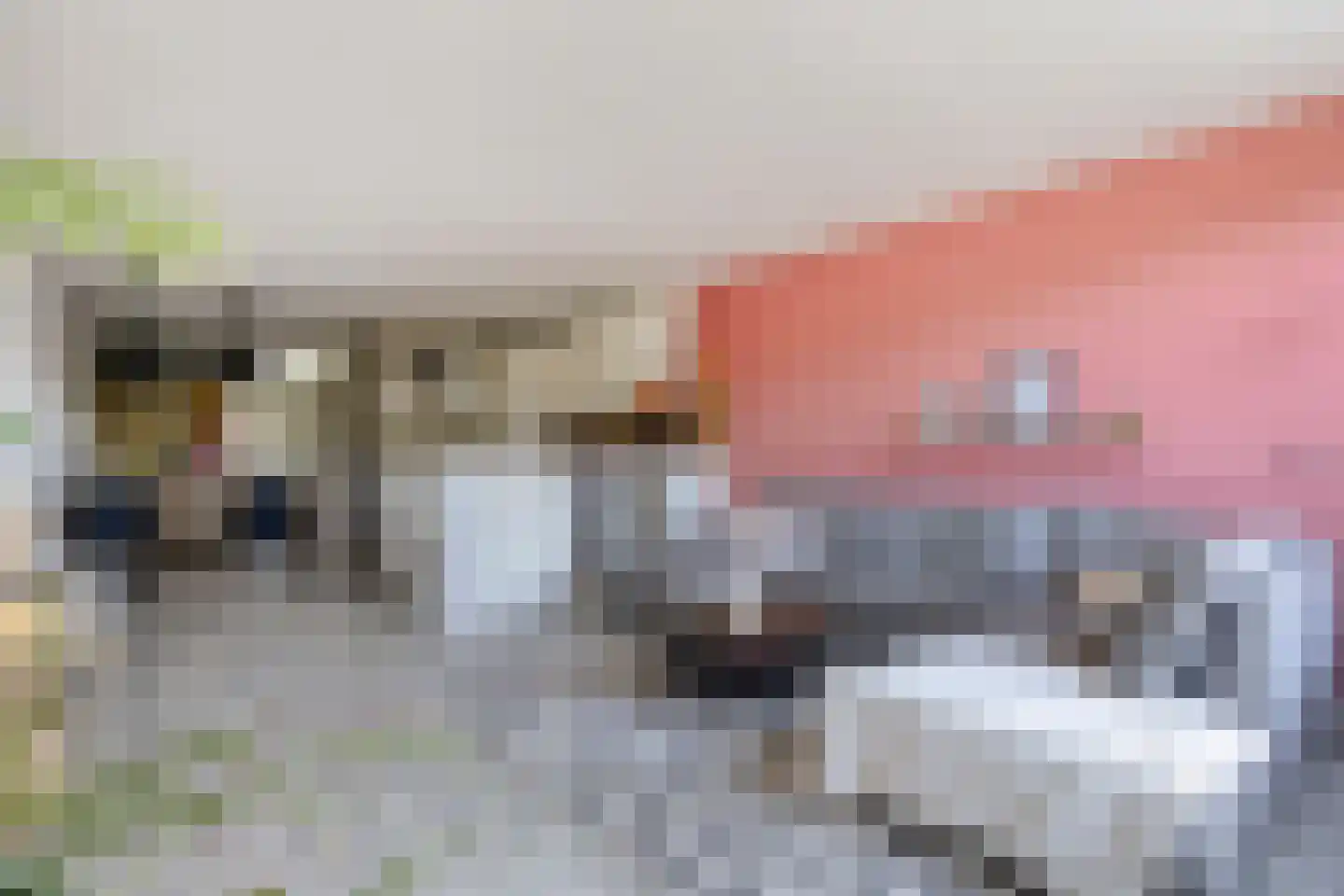 Adelaartlaan 48 Geldrop thumbnail 29