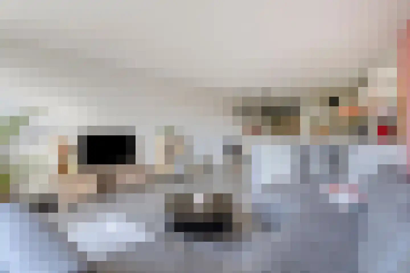 Adelaartlaan 48 Geldrop thumbnail 31