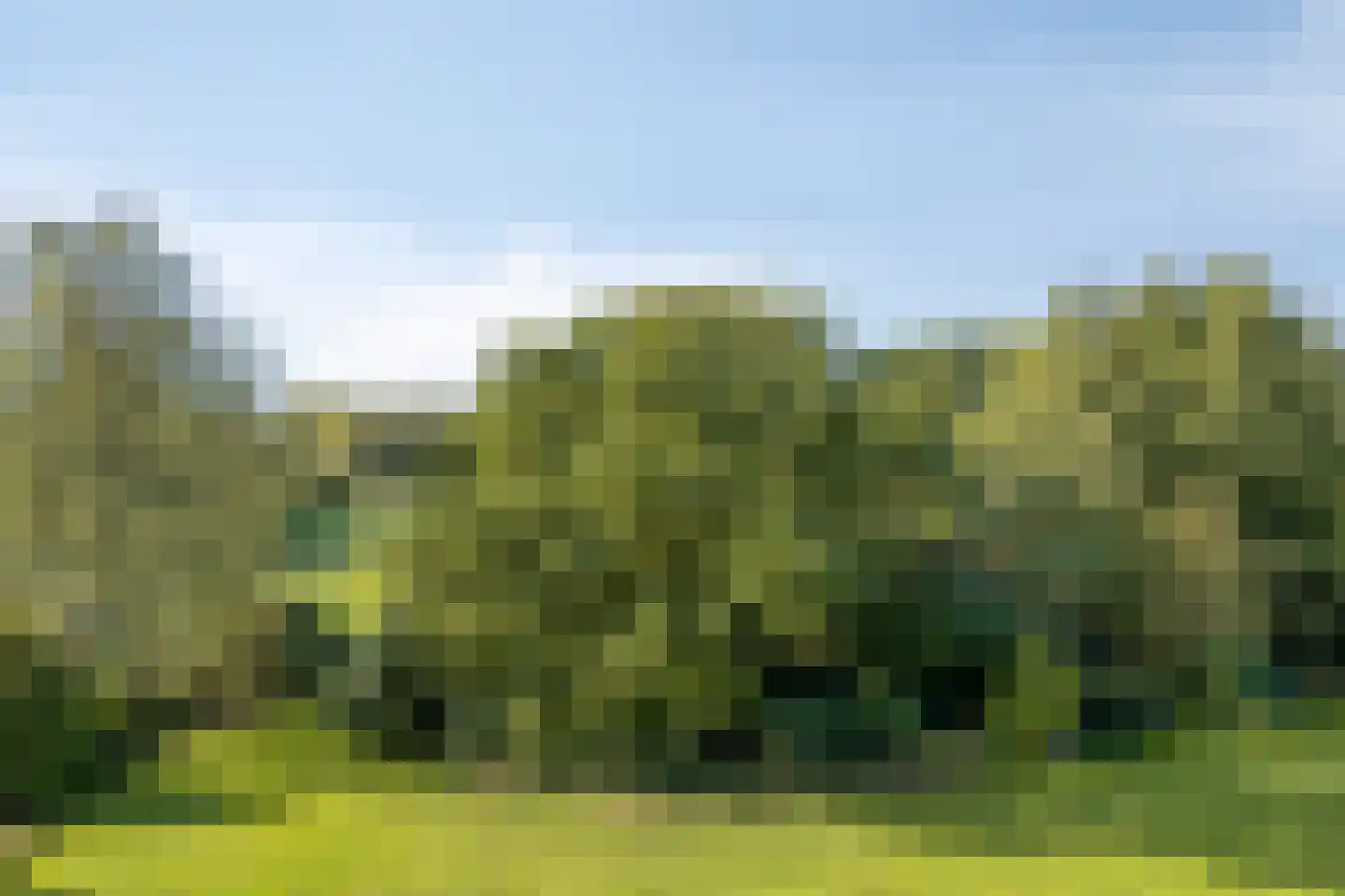 Adelaartlaan 48 Geldrop thumbnail 38