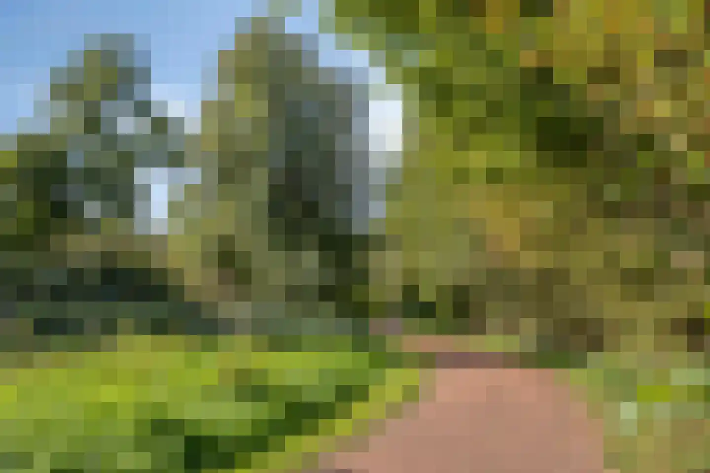 Adelaartlaan 48 Geldrop thumbnail 39