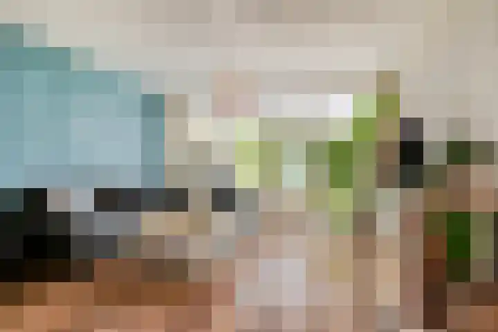 Adelaartlaan 51 Geldrop thumbnail 10