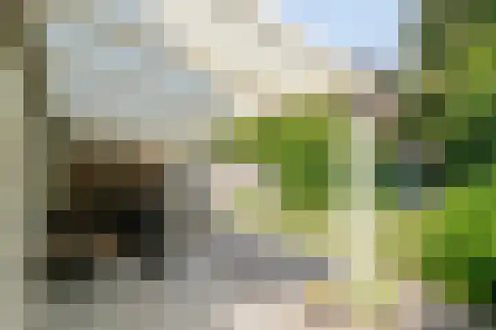 Adelaartlaan 51 Geldrop thumbnail 11