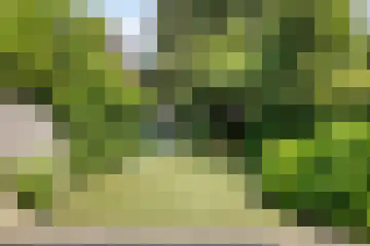 Adelaartlaan 51 Geldrop thumbnail 12