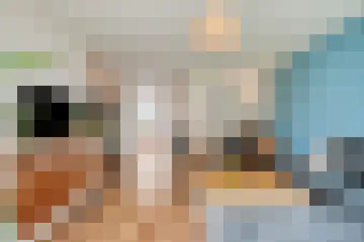 Adelaartlaan 51 Geldrop thumbnail 13