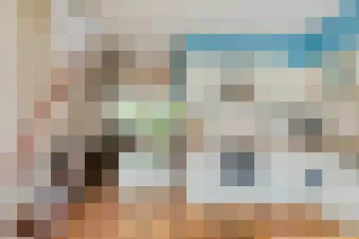 Adelaartlaan 51 Geldrop thumbnail 17