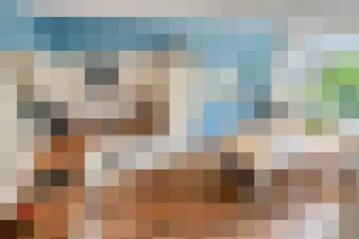 Adelaartlaan 51 Geldrop thumbnail 19