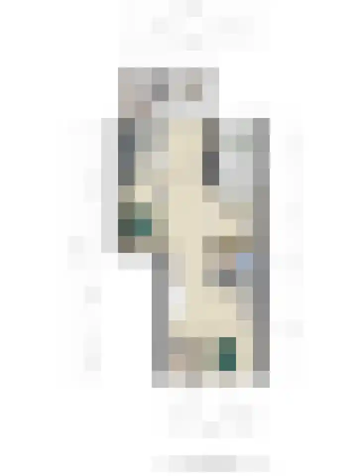 Adelaartlaan 51 Geldrop thumbnail 20