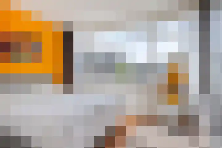 Adelaartlaan 51 Geldrop thumbnail 21